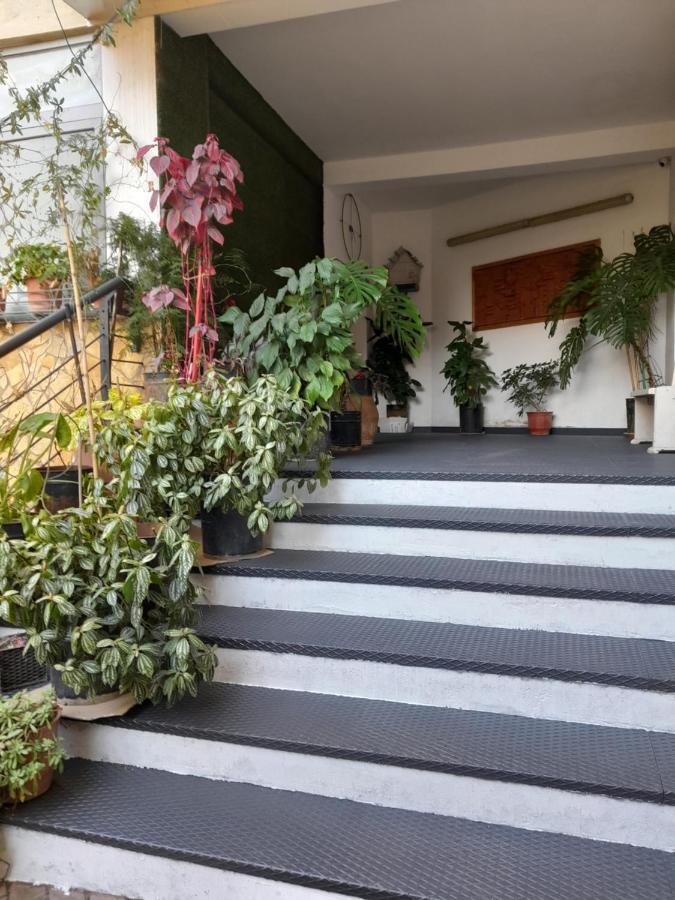 טיראנה Kristi Apartments 03 מראה חיצוני תמונה